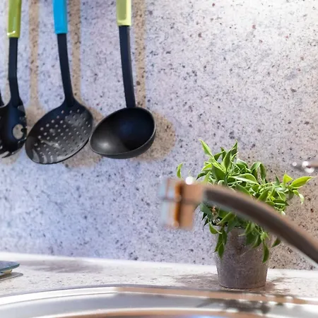 Berolina 513 Dahme (Schleswig-Holstein)